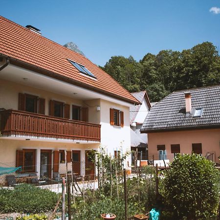 4 Sheeps Apartments Бовец Экстерьер фото